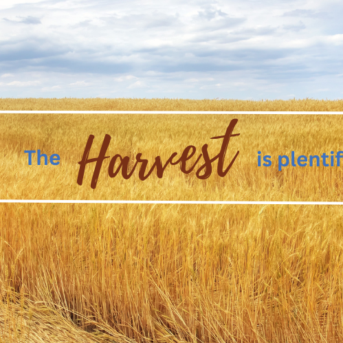 Patience is Required for a Plentiful Harvest