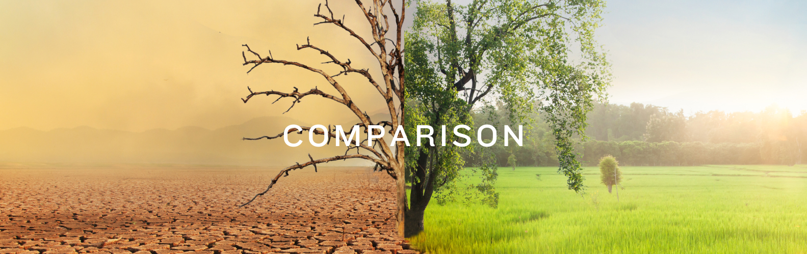 Are You Falling For the Comparison Trap?