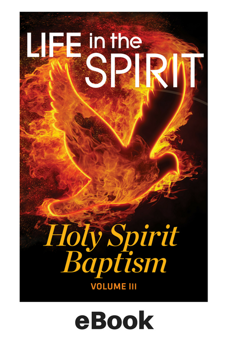 Life in the Spirit E-Book Vol 3